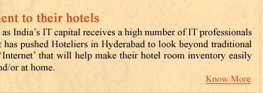 Hoteliers in India's IT city add an Online element to their hotels