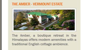 The Amber - Vermount Estate