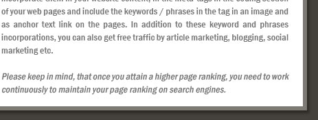 Attaining Higher Ranking on Search Engines