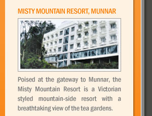 Misty Mountain Resort, Munnar