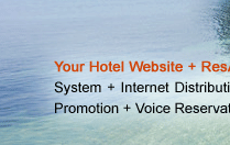 Internet Booking Engine, Payment Gateway, Global Distribution System, Internet Distribution System, Global Agent Commission Payment System, Search Engine Promotion, Voice Reservation Services