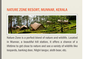 Nature Zone Resort, Munnar, Kerala