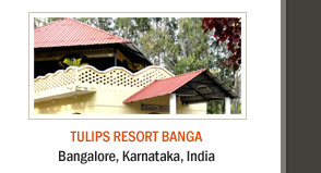 Tulips Resort Banga