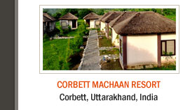 Corbett Machaan Resort