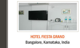 Hotel Fiesta Grand