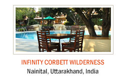 Infinity Corbett Wilderness