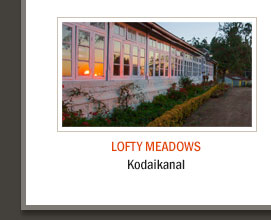 Lofty Meadows, Kodaikanal