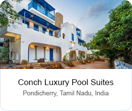 Conch Luxury Pool Suites