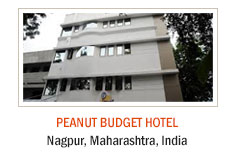 Peanut Budget Hotel