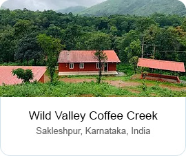 Wild Valley Coffee Creek