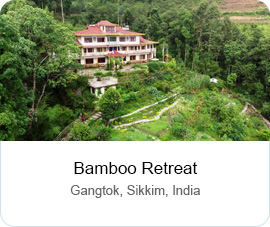 Bamboo Retreat