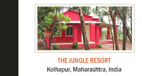 The Jungle Resort