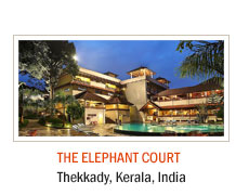 The Elephant Court