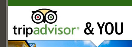 TripAdvisor and You