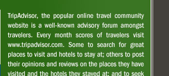 TripAdvisor and You