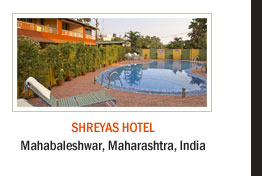 Shreyas Hotel
