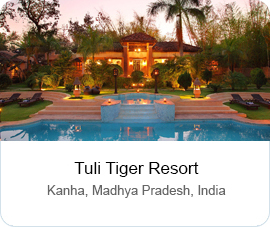 Tuli Tiger Resort