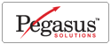 Pegasus Solutions